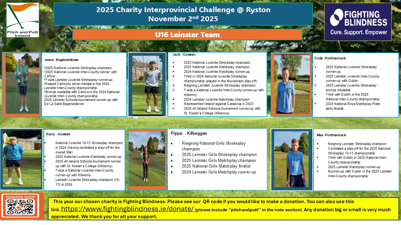 Introducing 2025 Leinster U16 Charity Interprovincial Team image