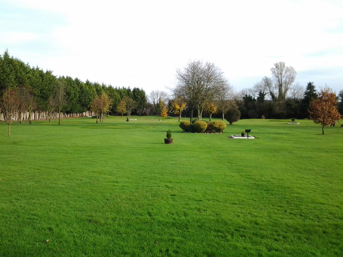Leinster Ladies Matchplay Preview image