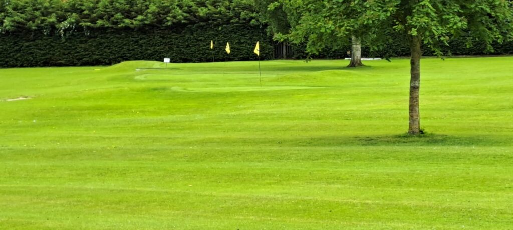 Leinster Gents Matchplay Preview image