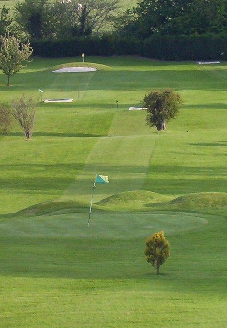 Previous Pairs and Team Events at Royal Meath image