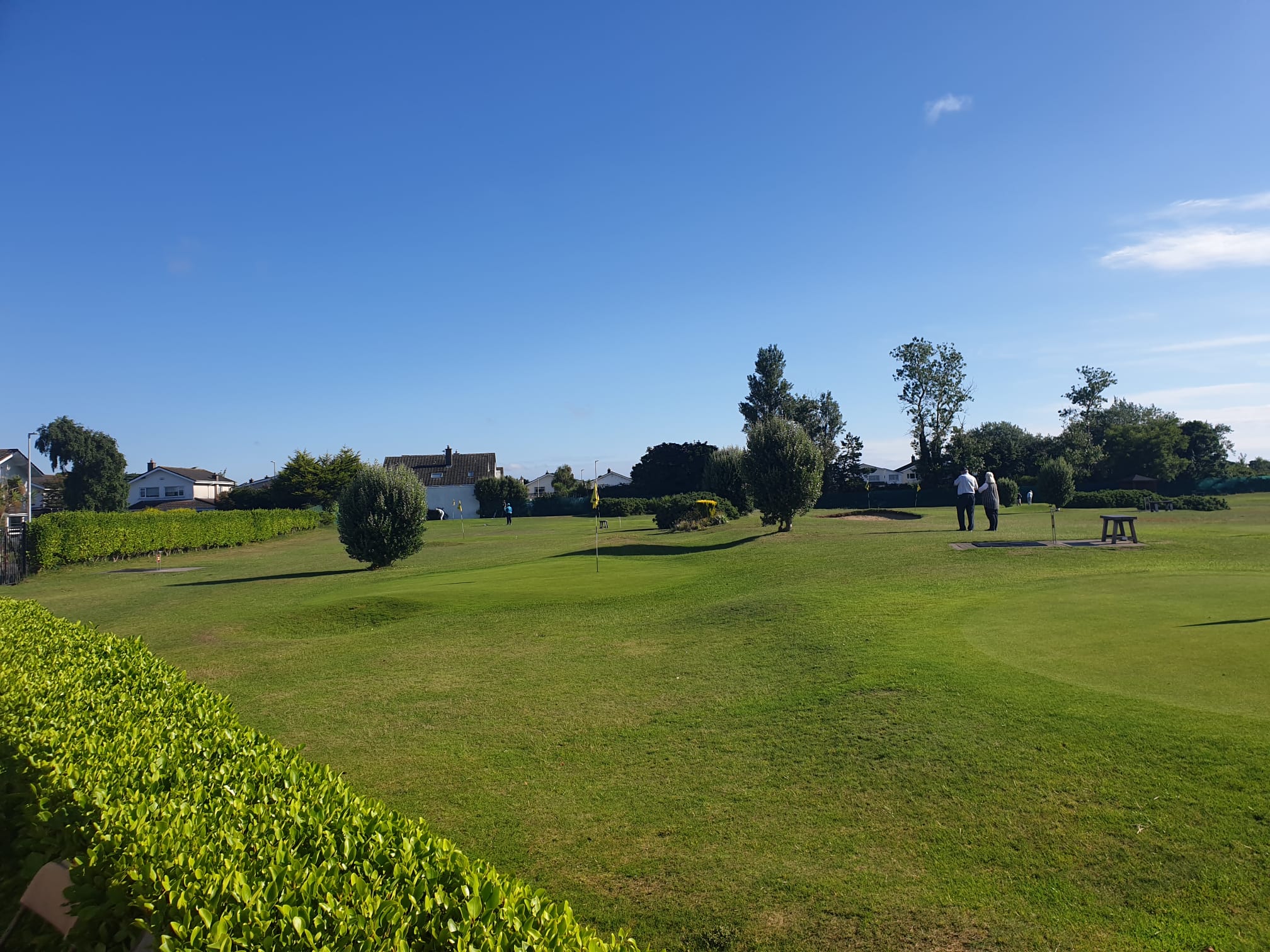 Leinster Strokeplay Review image